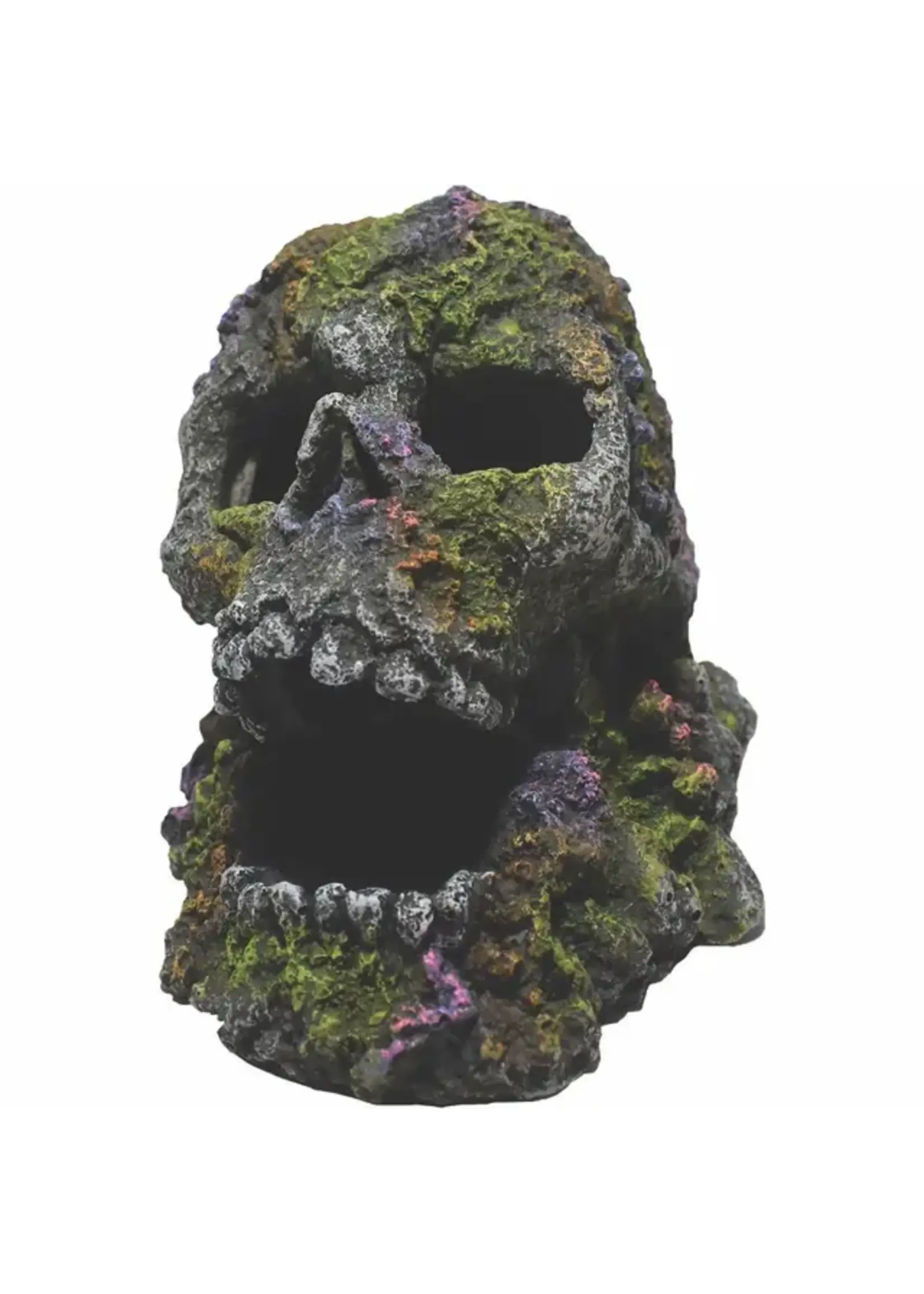 Hikari MOSSY SKULL 4 INCH