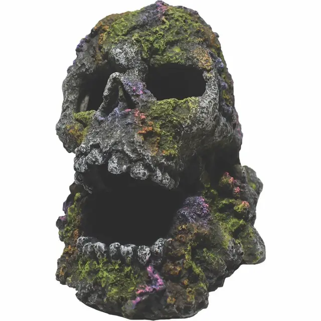 MOSSY SKULL 4 INCH