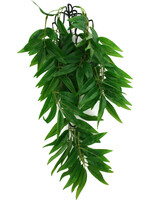 Komodo BAMBOO CLIMBING PLANT MED 16 INCH