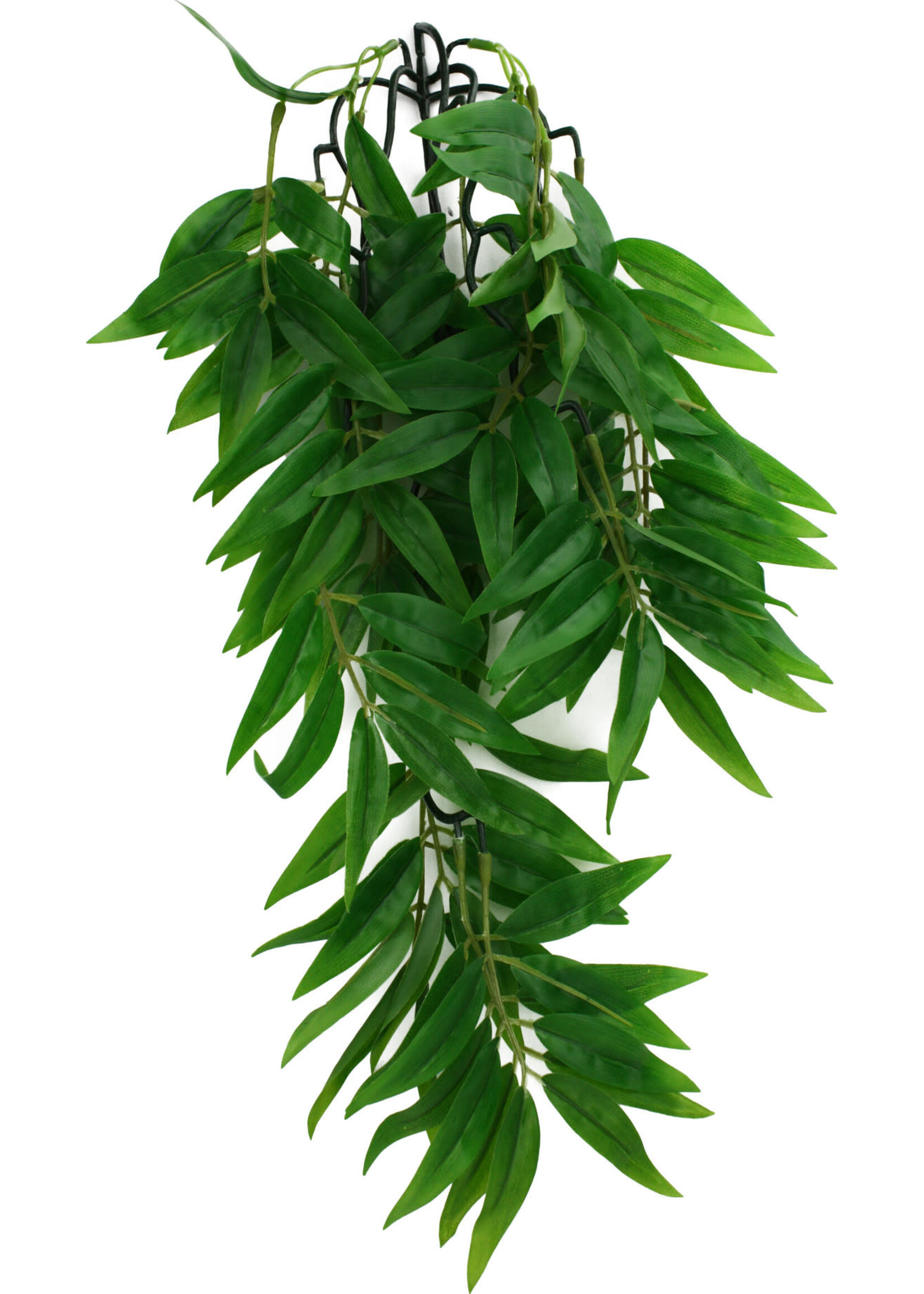 Komodo BAMBOO CLIMBING PLANT MED 16 INCH