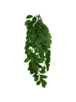 Komodo CLIMB GREEN LEAF LG