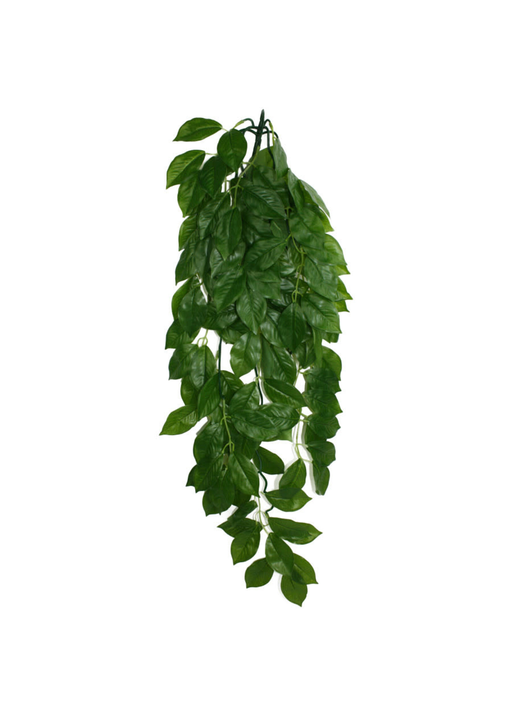 Komodo CLIMB GREEN LEAF LG