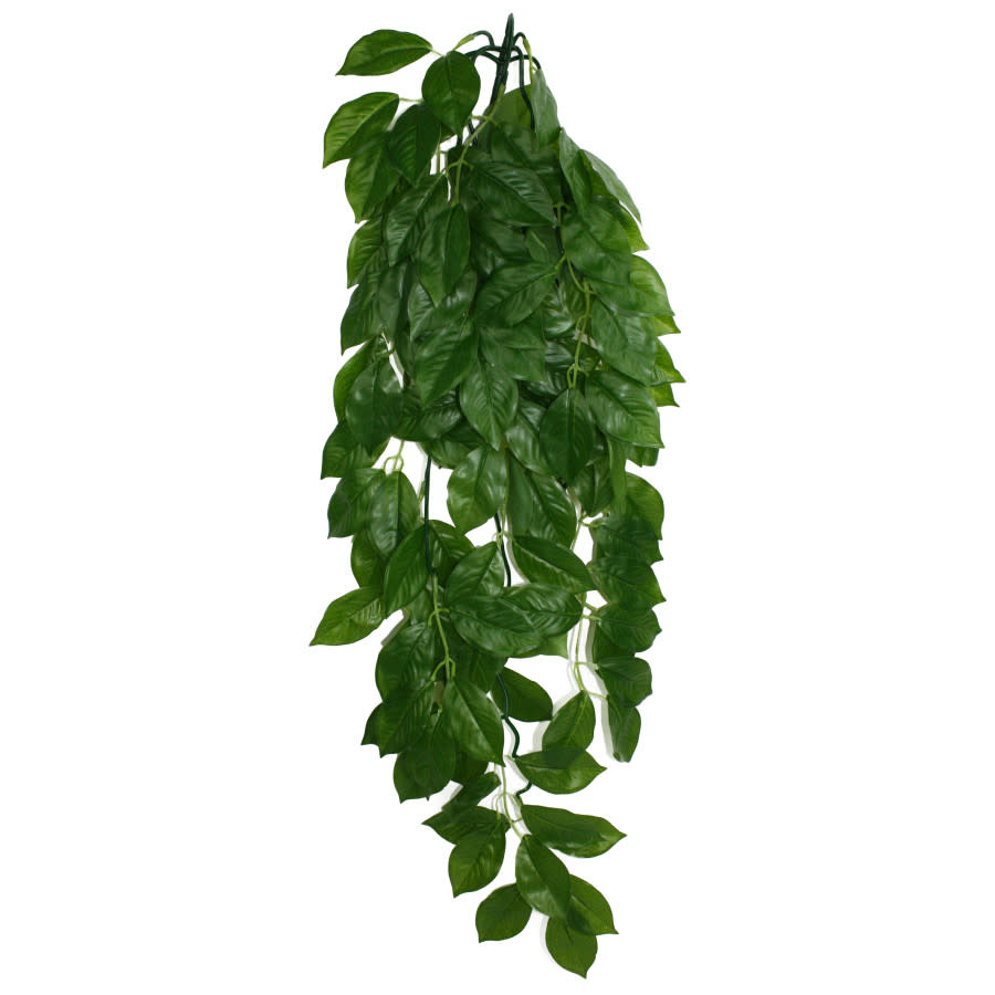 CLIMB GREEN LEAF LG