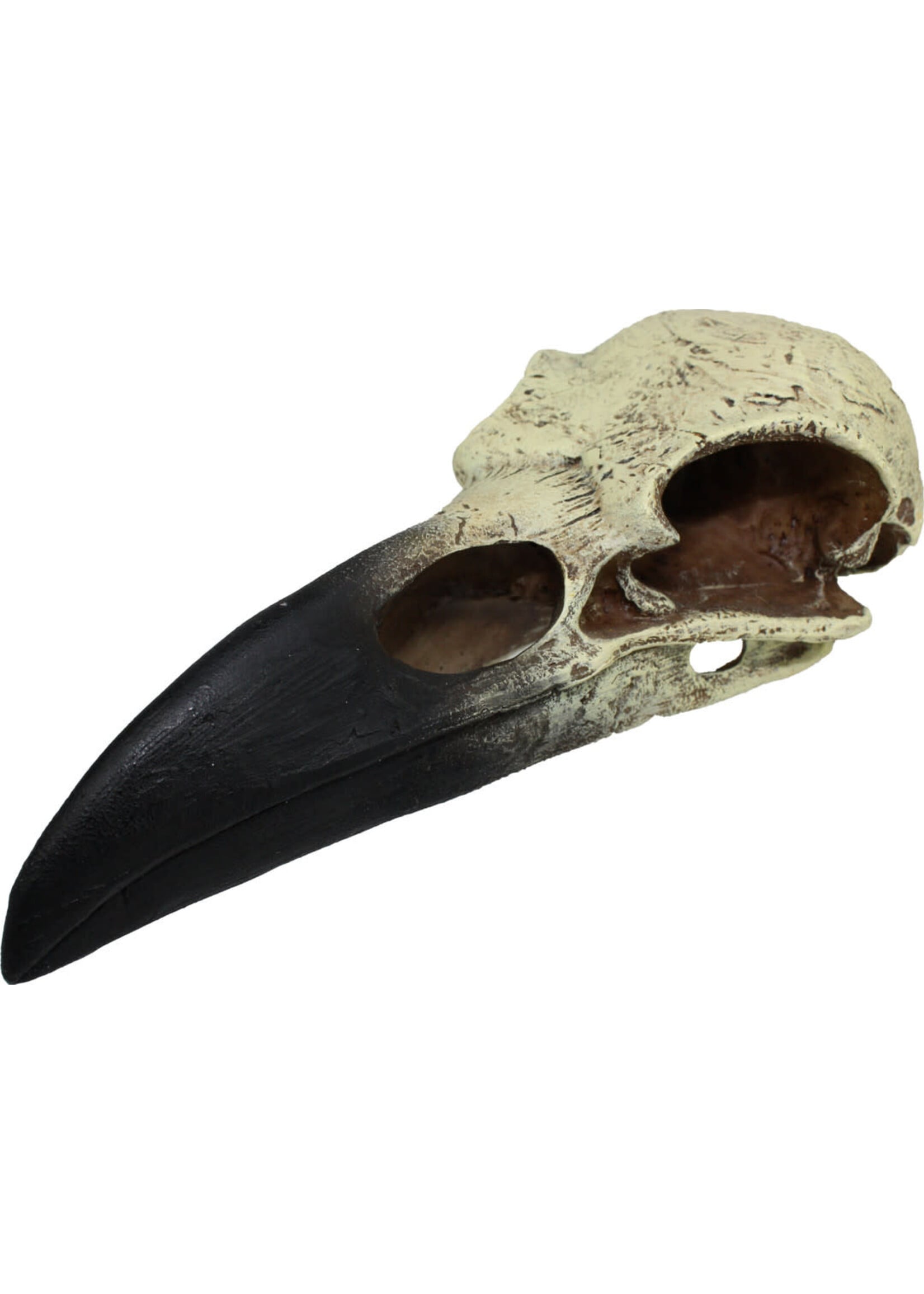 Komodo HIDEOUT RAVEN SKULL LG