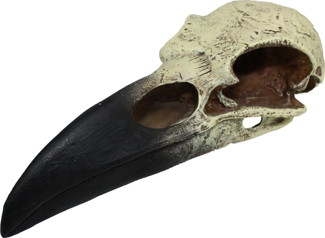 HIDEOUT RAVEN SKULL LG