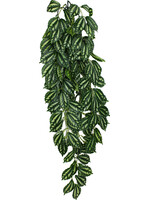 Komodo TWO TONED CLIMBING LEAF RED/GREEN LG