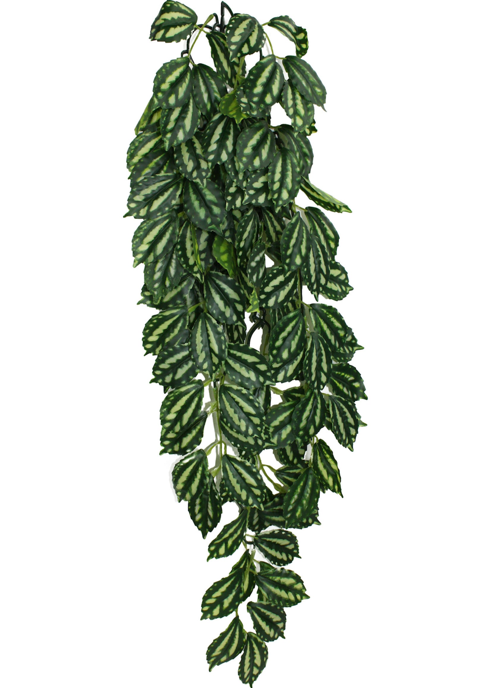 Komodo TWO TONED CLIMBING LEAF RED/GREEN LG