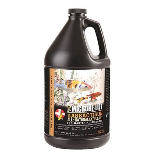 SABBACTISUN 1 GALLON