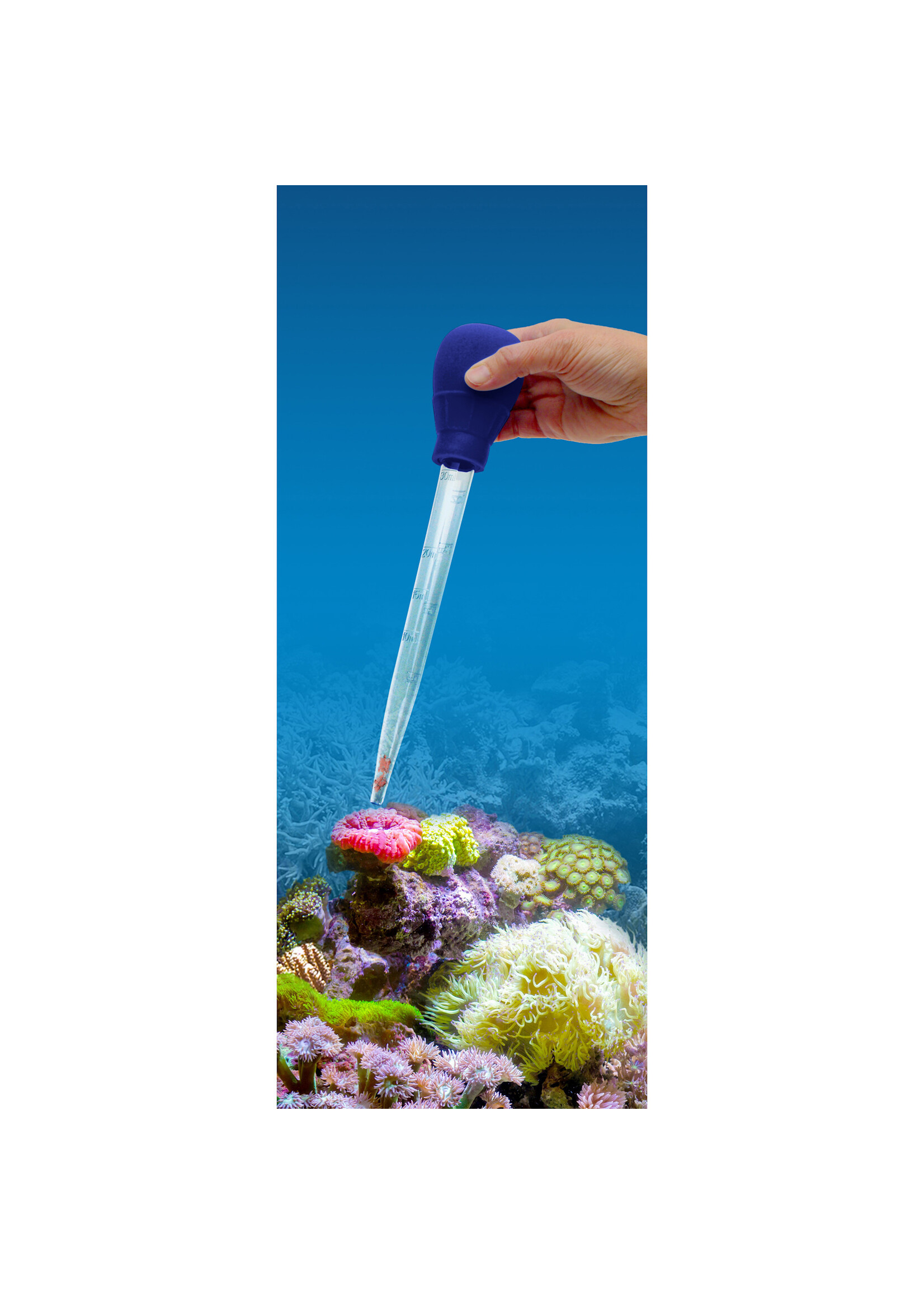 Fluval 3-1 WASTE REMOVER 11"