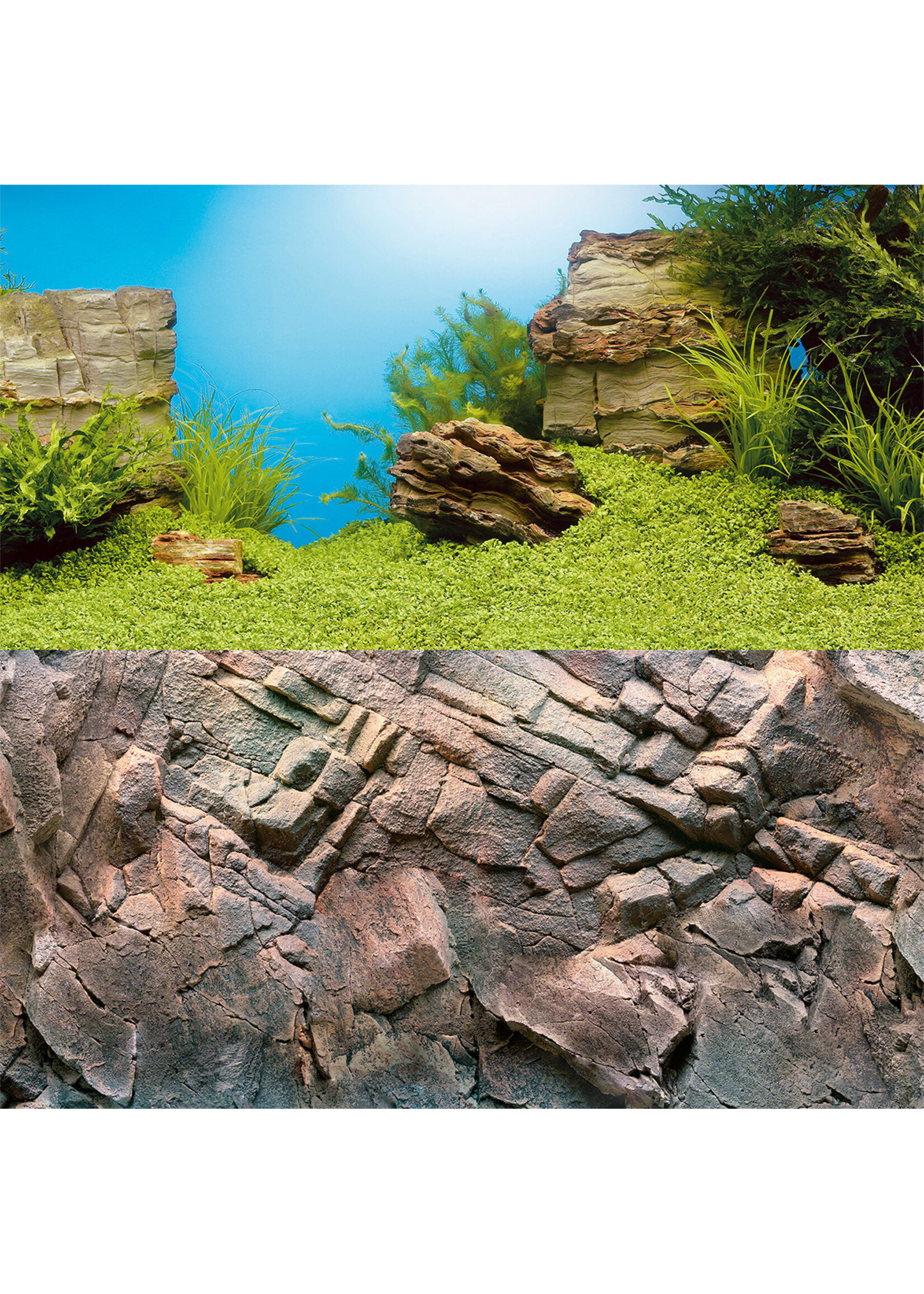 AQUARIUM BACKGROUND DECOR POSTER 1 S