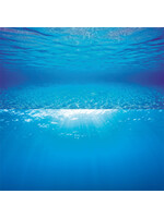 AQUARIUM BACKGROUND DECOR POSTER 2 S