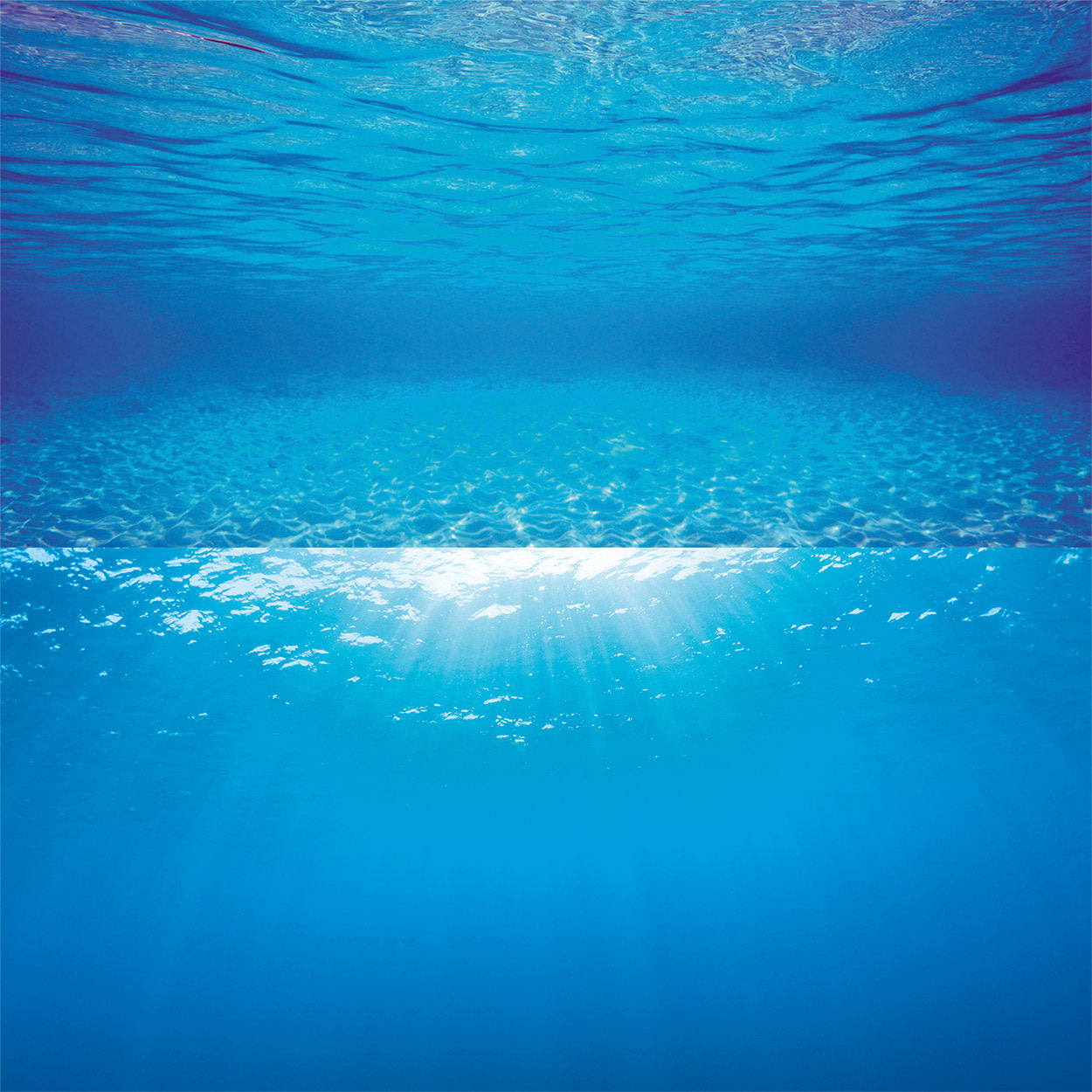 JUWEL AQUARIUM BACKGROUND DECOR POSTER 2 L