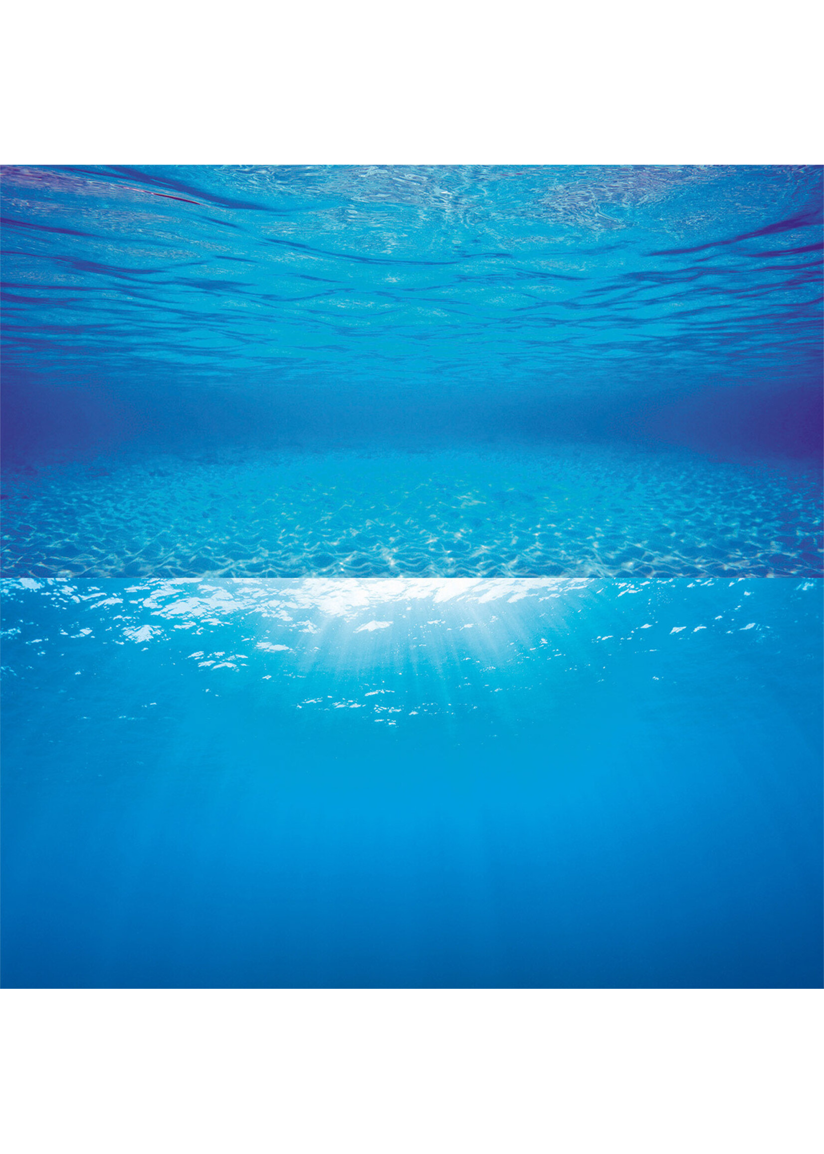 JUWEL AQUARIUM BACKGROUND DECOR POSTER 2 L