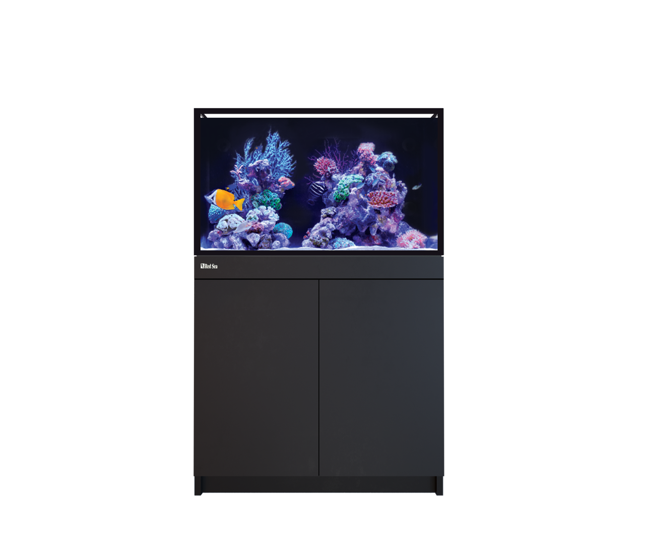 REEF-FRAME 250 BLACK 65 G EURO BRACED