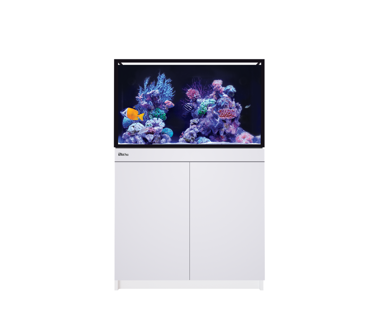 REEF-FRAME 250 WHITE 65 G EURO BRACED
