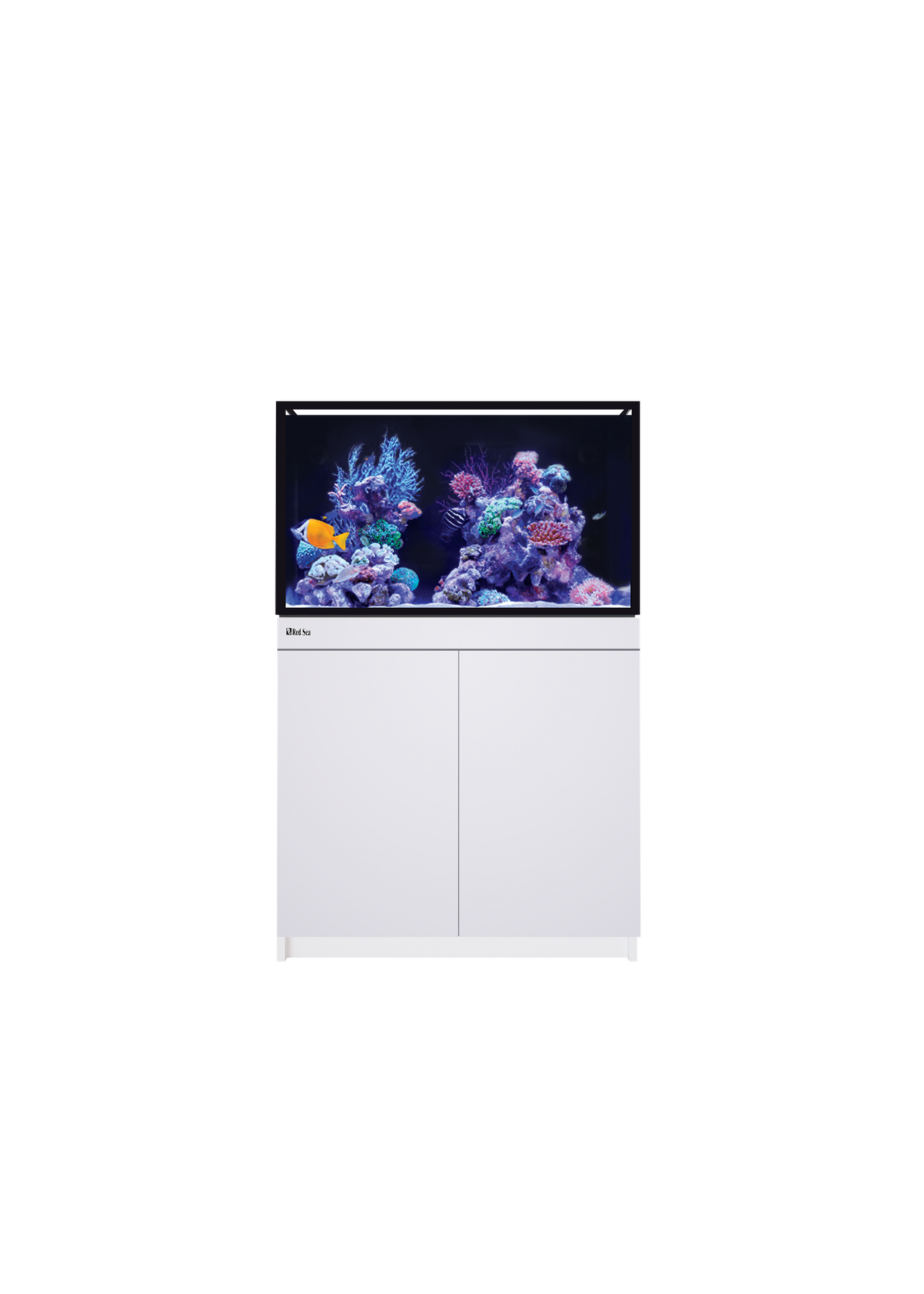 Red Sea REEF-FRAME 250 WHITE 65 G EURO BRACED