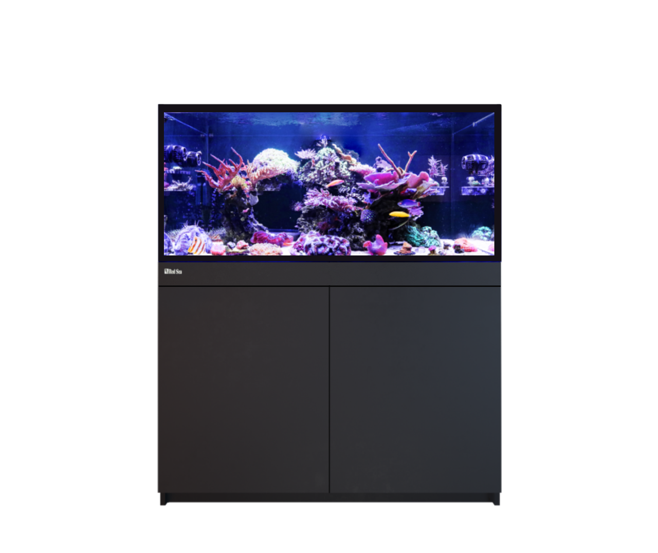 REEF-FRAME 350 BLACK 93 G EURO BRACED
