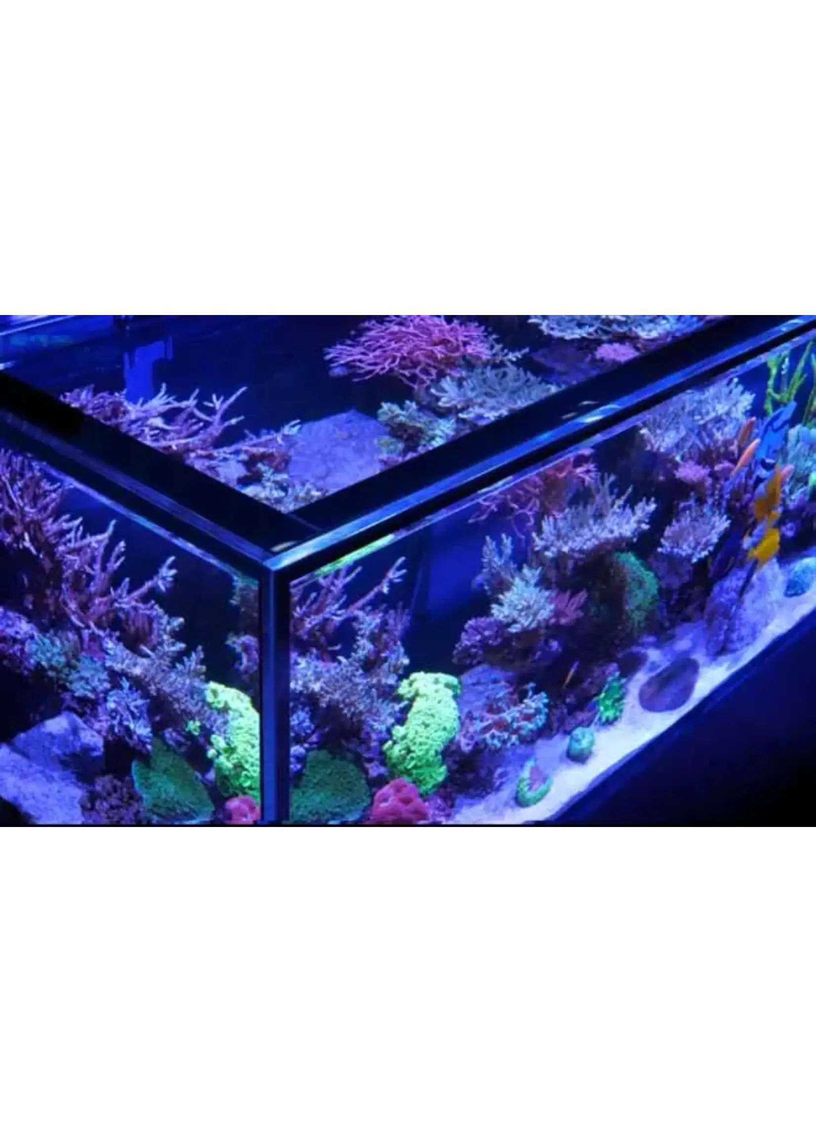 Red Sea REEF-FRAME 350 BLACK 93 G EURO BRACED