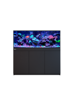 Red Sea REEF-FRAME 500 BLACK 136 G EURO BRACED