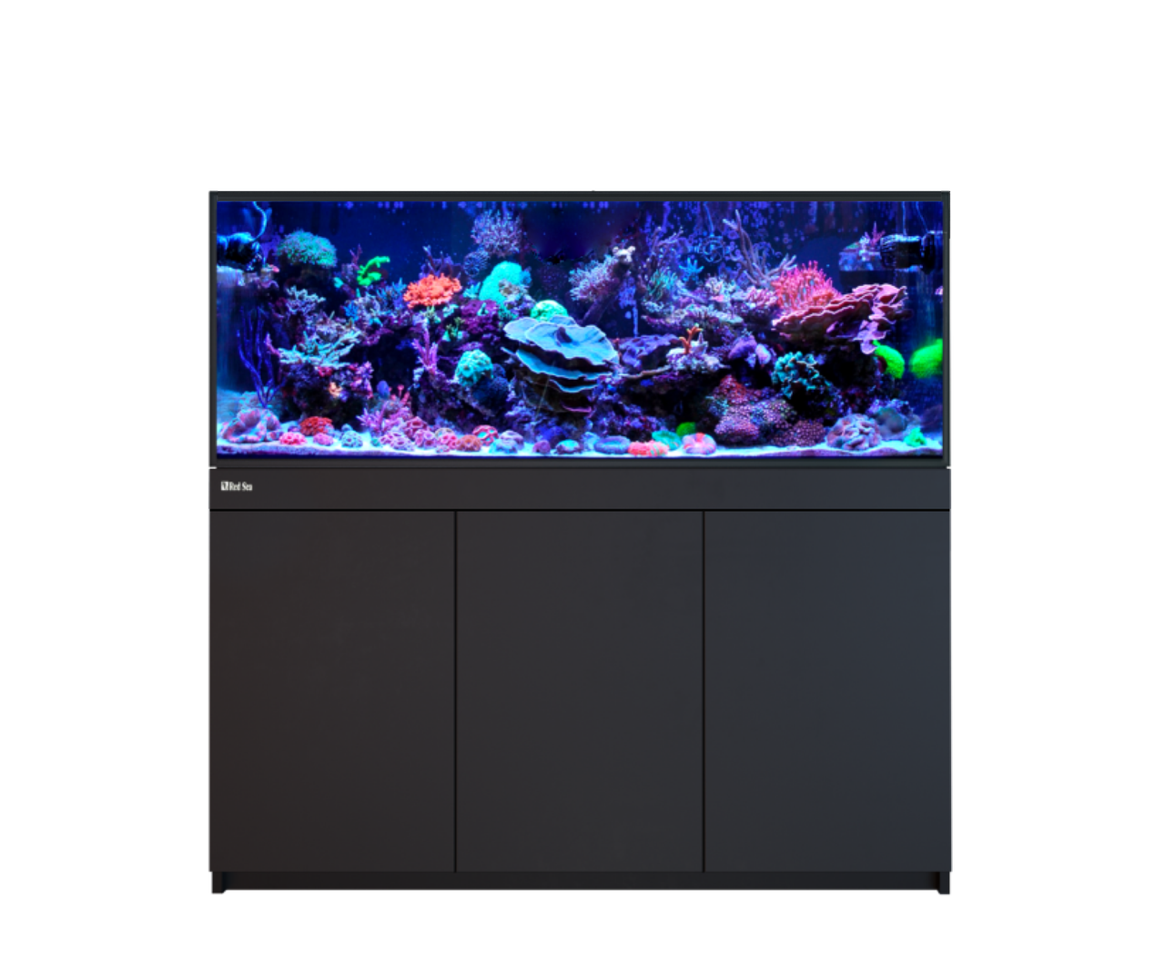REEF-FRAME 500 BLACK 136 G EURO BRACED