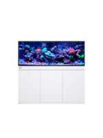 Red Sea REEF-FRAME 500 WHITE 136 G EURO BRACED