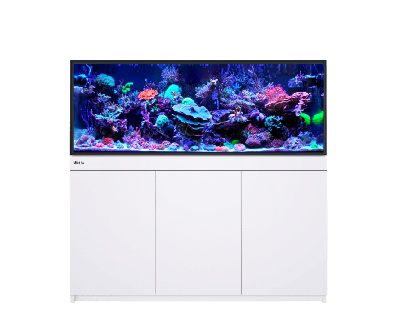 REEF-FRAME 500 WHITE 136 G EURO BRACED