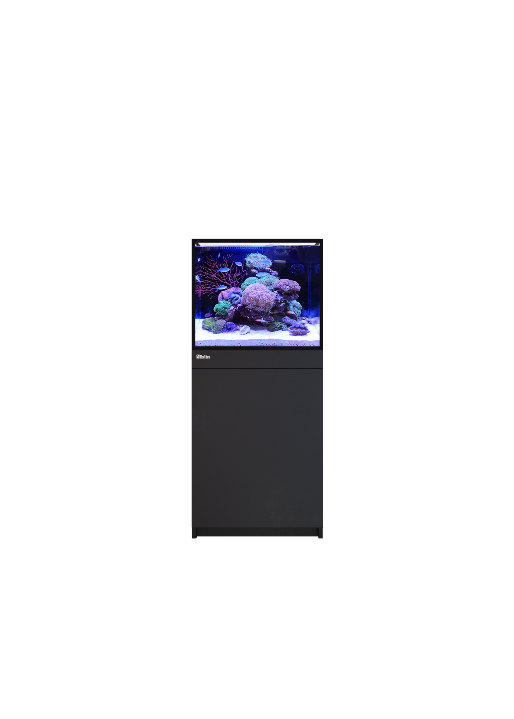 Red Sea REEF-FRAME MAX 170 BLACK 46 G EURO BRACED