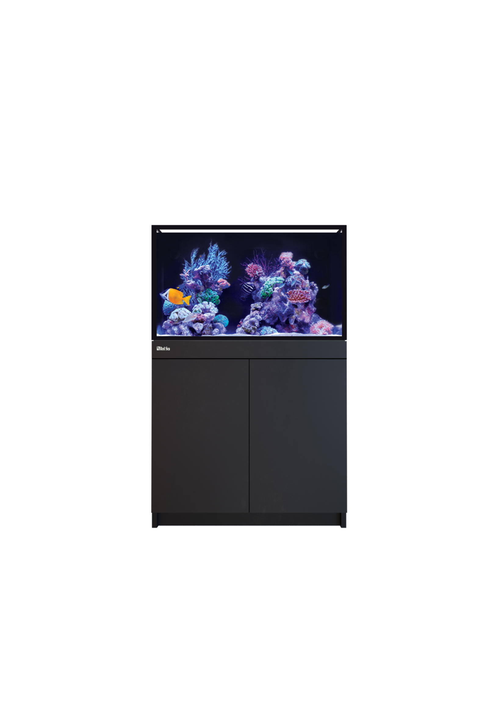 Red Sea REEF-FRAME MAX 250 BLACK 65 G EURO BRACED