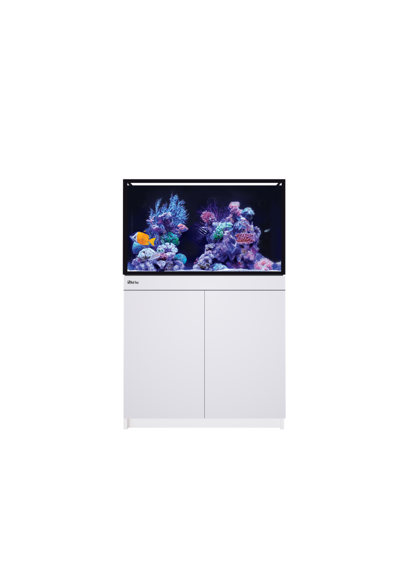 Red Sea REEF-FRAME 250 WHITE 65 G EURO BRACED