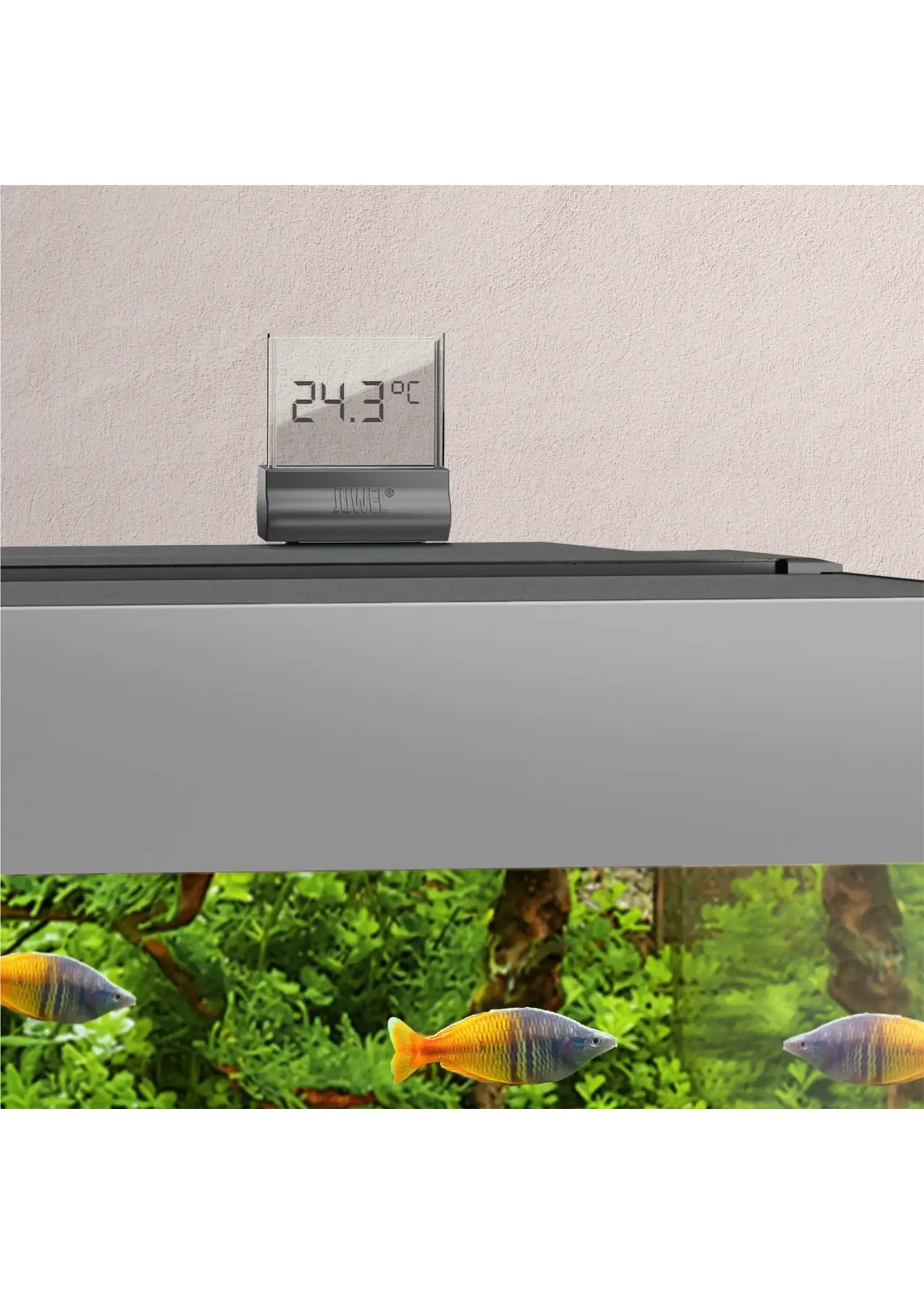 DIGITAL THERMOMETER 4.0