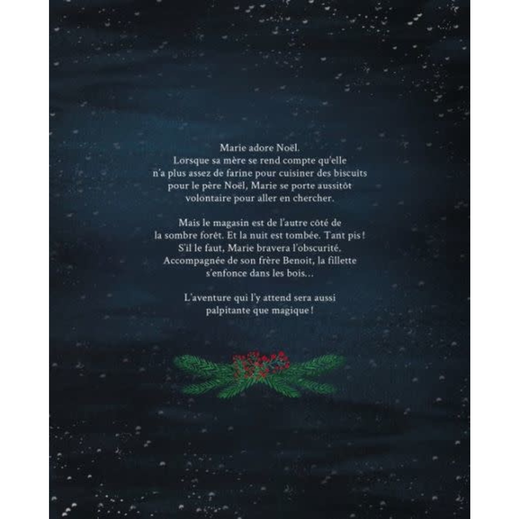 La Courte Échelle (Éditions) LA COURTE ÉCHELLE - La fabuleuse nuit de Noël