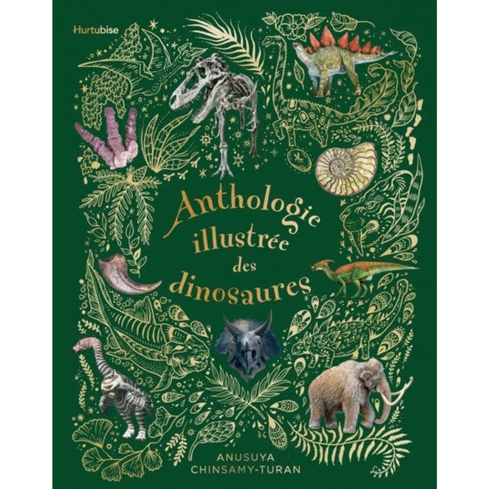 Hurtubise (Éditions) EDITIONS HURTUBISE - Anthologie illustrée des dinosaures (in French)