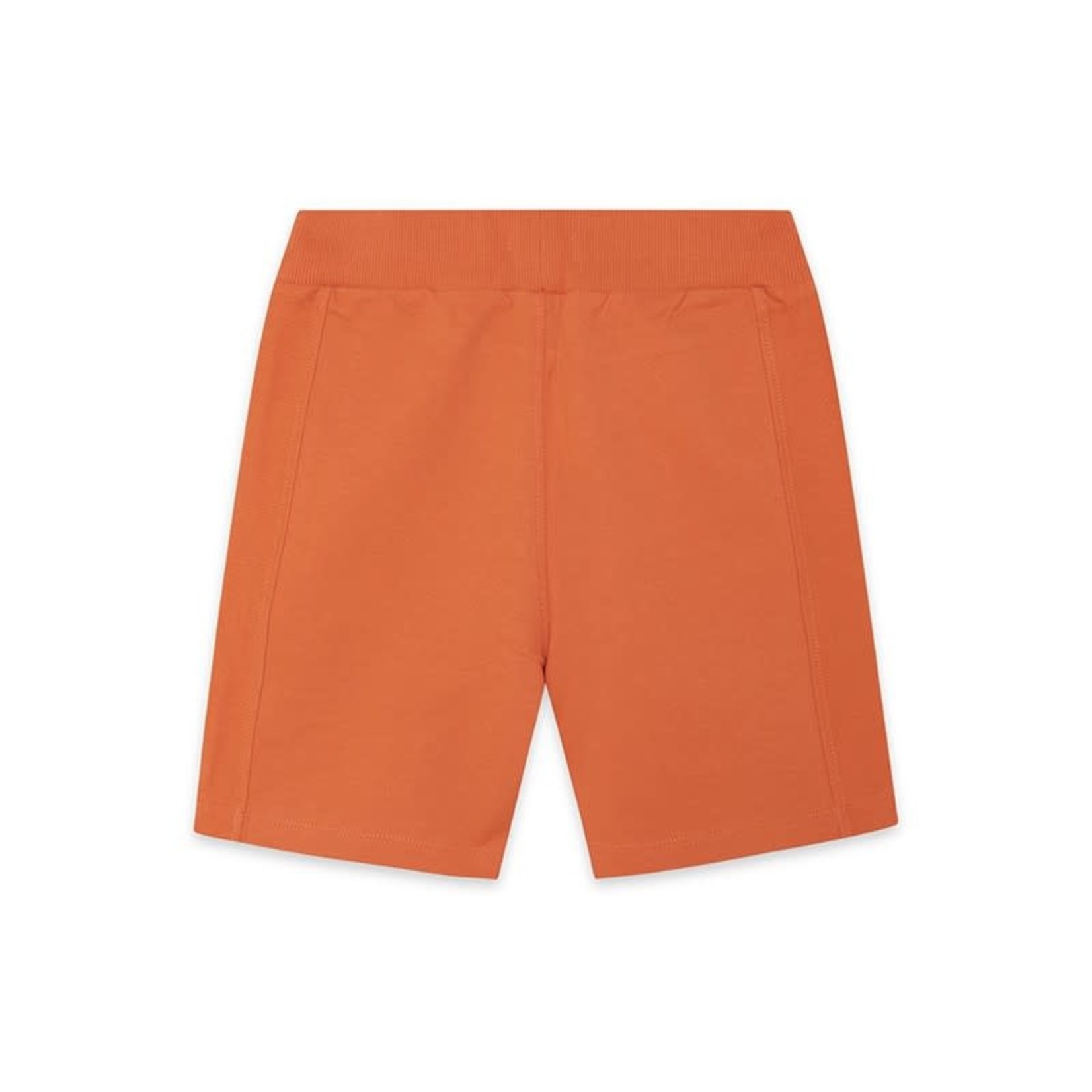 TucTuc TUC TUC - Orange soft cotton shorts 'Loop - Save our species'