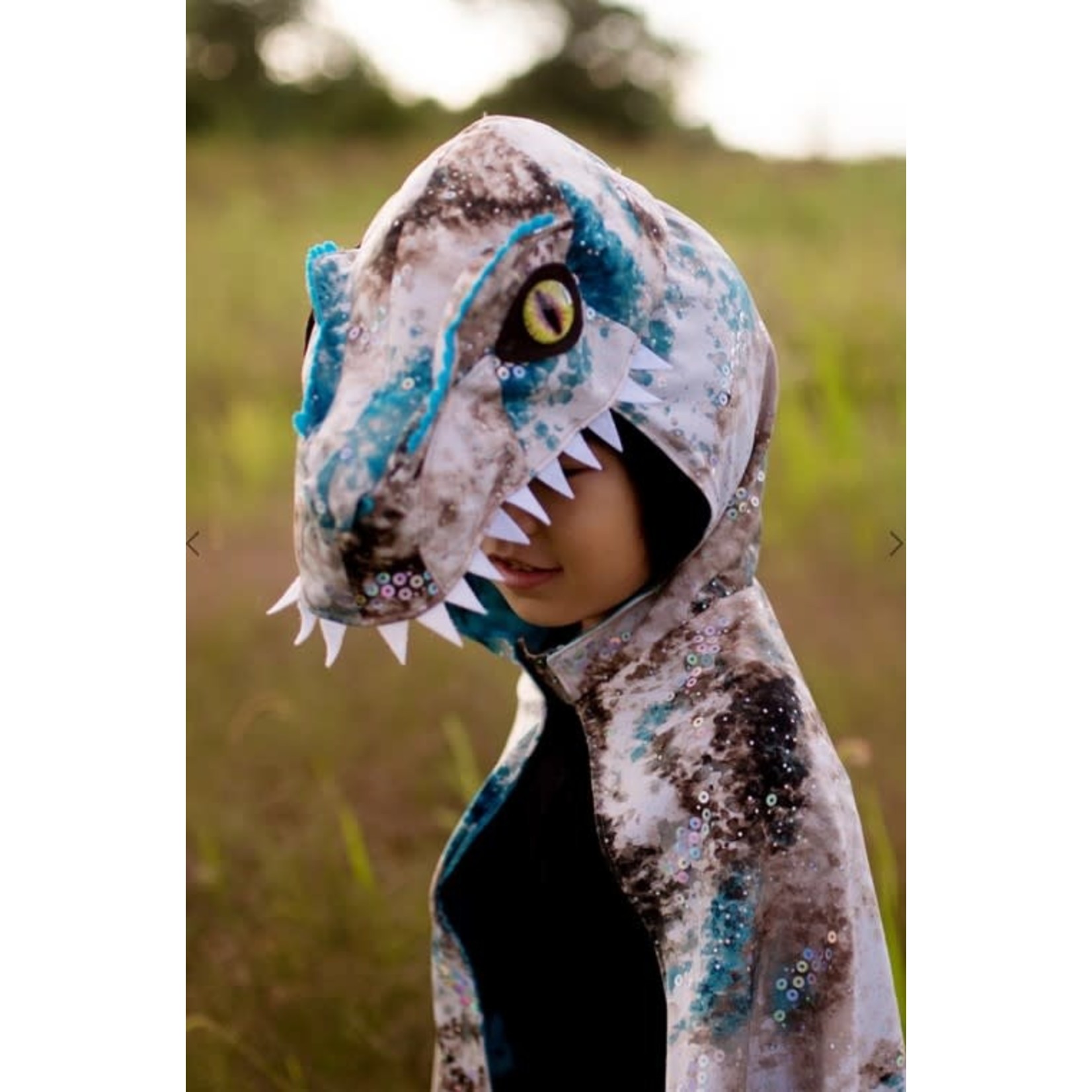 Great Pretenders GREAT PRETENDERS - Raptor Cape (5-6 years)