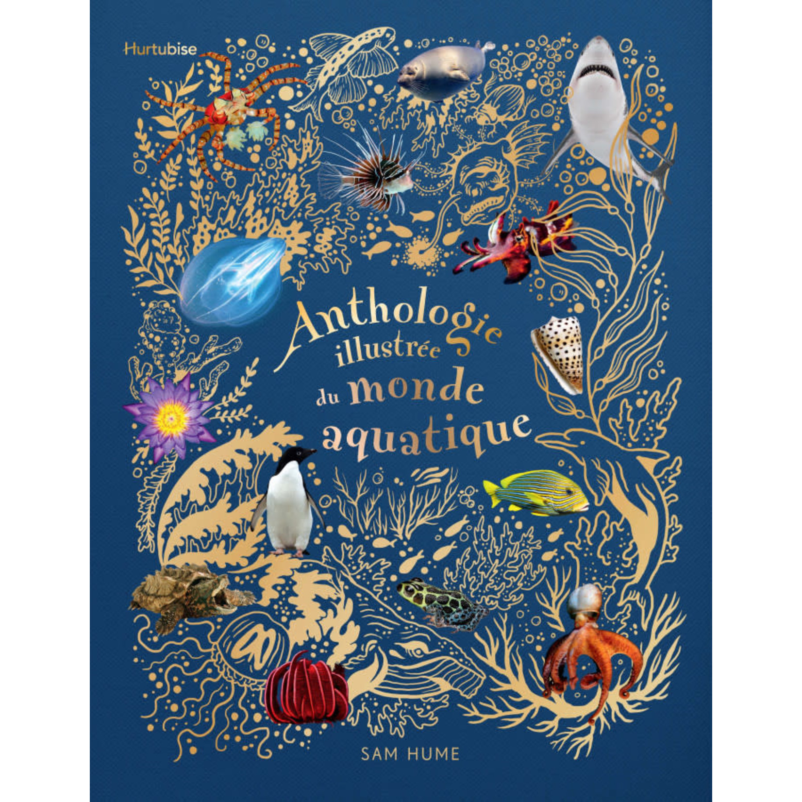 Hurtubise (Éditions) EDITIONS HURTUBISE - Anthologie illustrée du monde aquatique