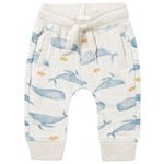 Noppies NOPPIES - Oatmeal Sweatpants with Whale Pattern 'Milam'