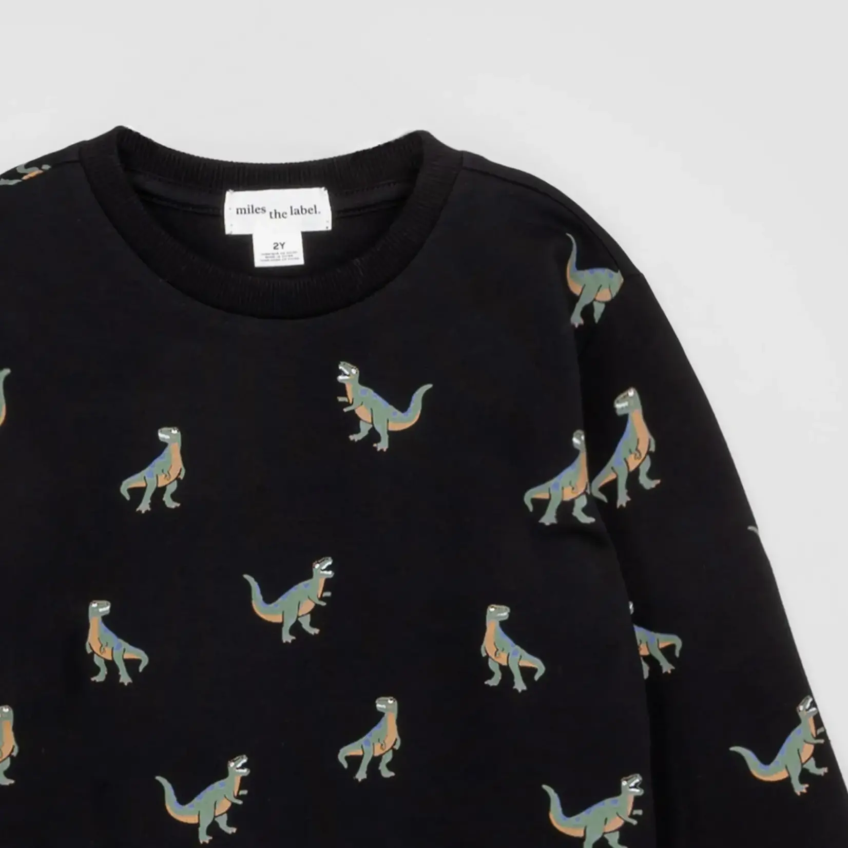 Miles the label MILES THE LABEL - Black Sweatshirt with Dinosaur Print