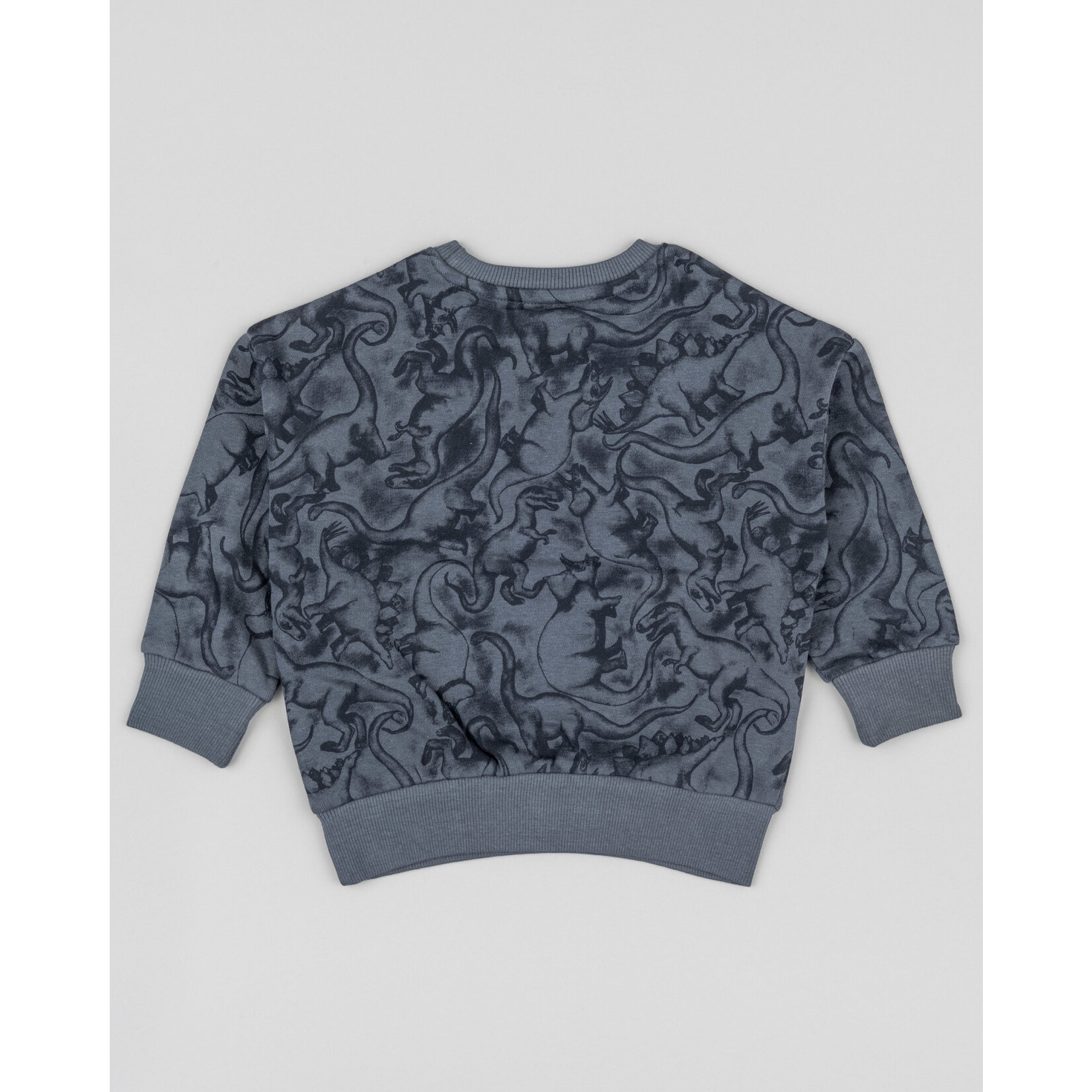 Losan LOSAN - Chandail coton ouaté gris foncé avec silhouettes de dinosaures