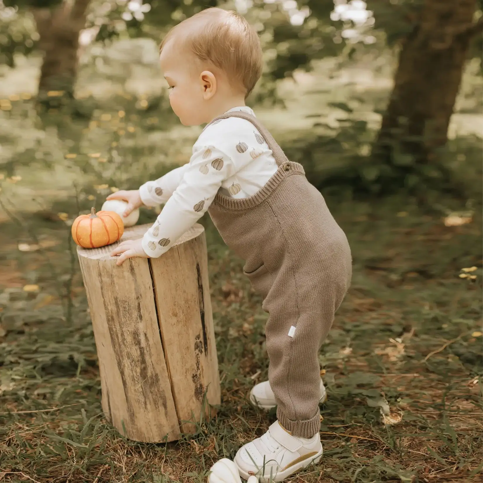 Petit Lem PETIT LEM - Two-piece Set Pumpkin Print Top and Taupe Knit Overalls