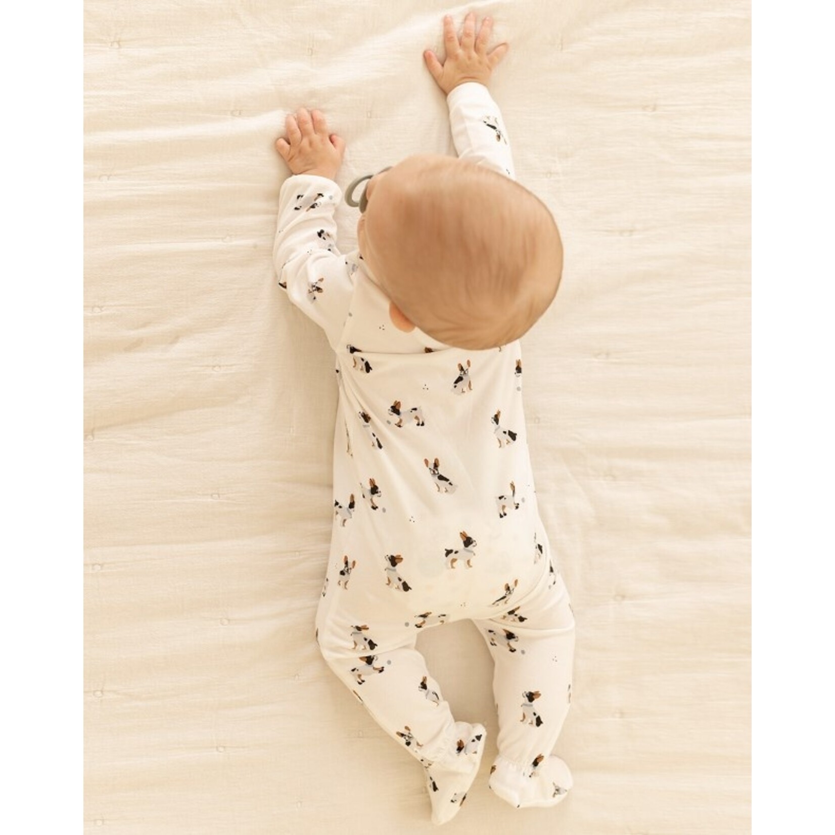 Petit Lem PETIT LEM - Pyjama de bébé blanc à imprimé de bulldogs français