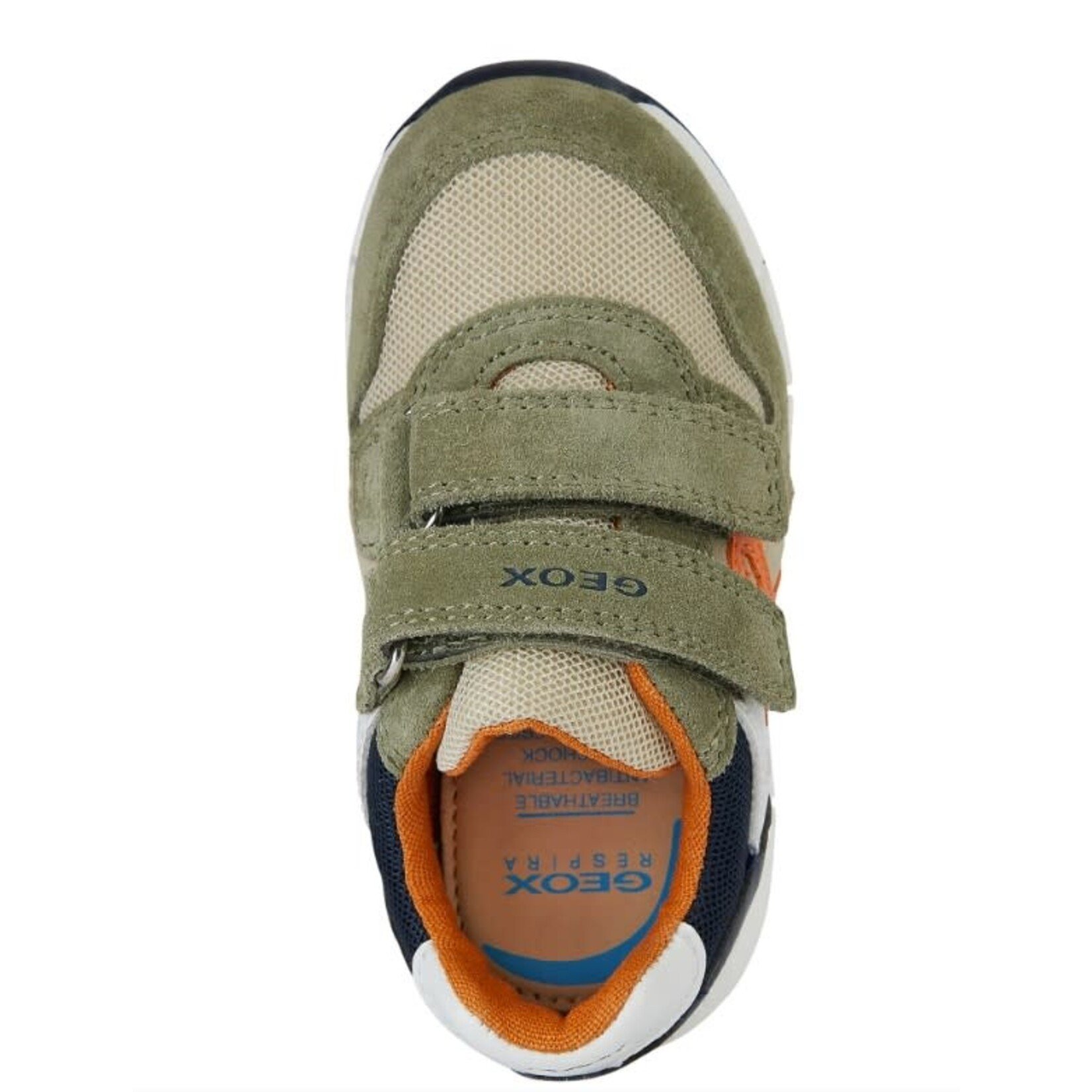 Geox GEOX - Chaussures de sport 'Alben - Suede Mesh - Sauge/Marine/Orange'