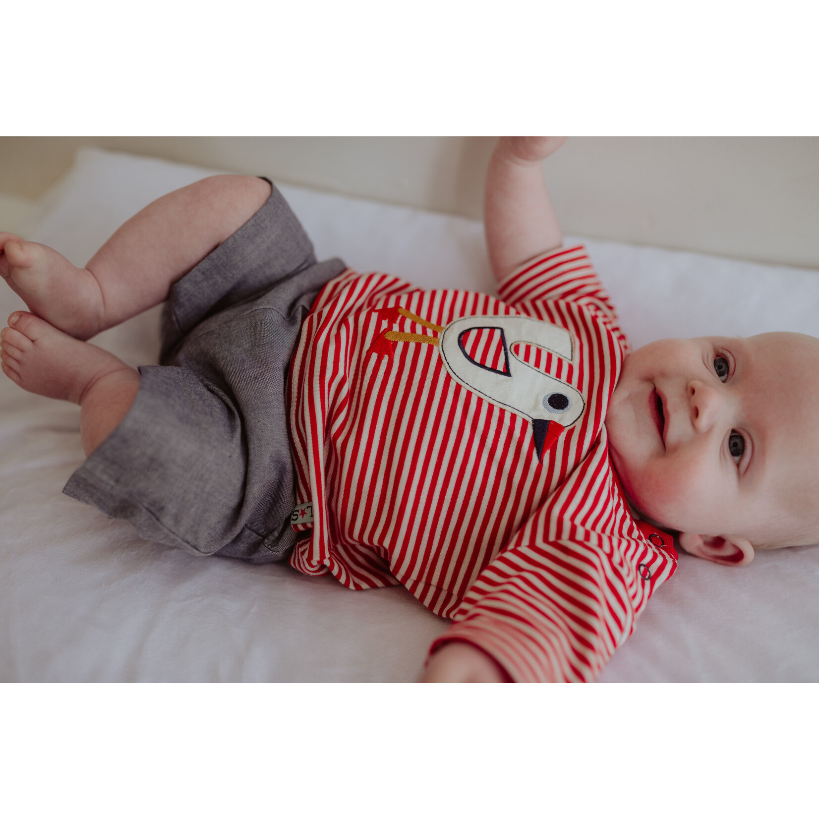 Lilly+Sid LILLY+SID - Two-piece Set - Red Striped T-shirt with Seagull Appliqué and Matching Shorts