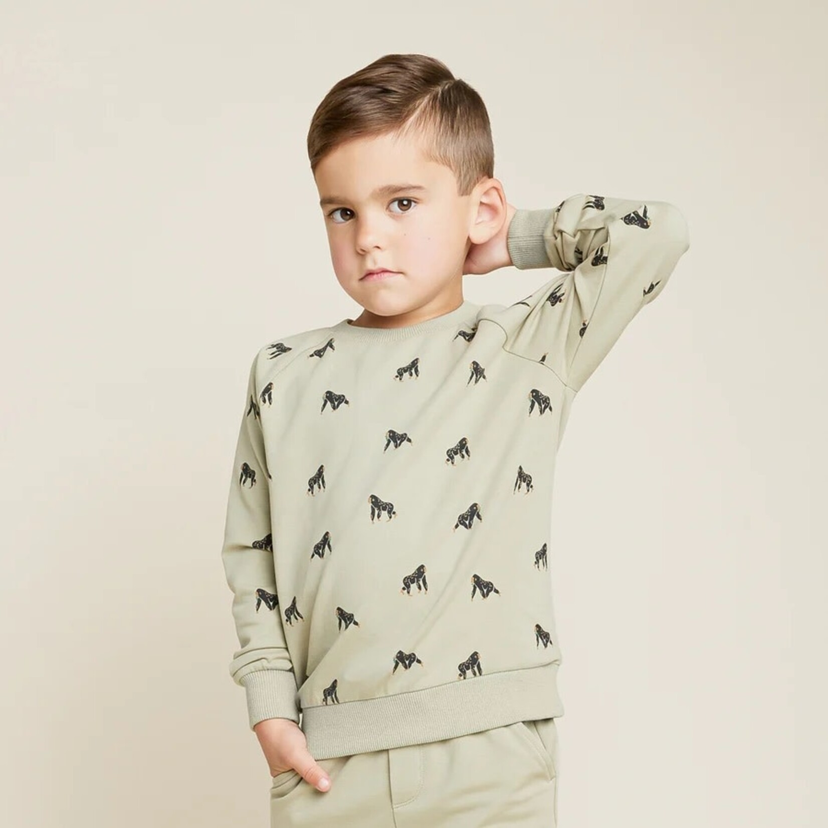 Miles the label MILES THE LABEL - Sage Green Long Sleeve Sweater with Allover Gorilla Print