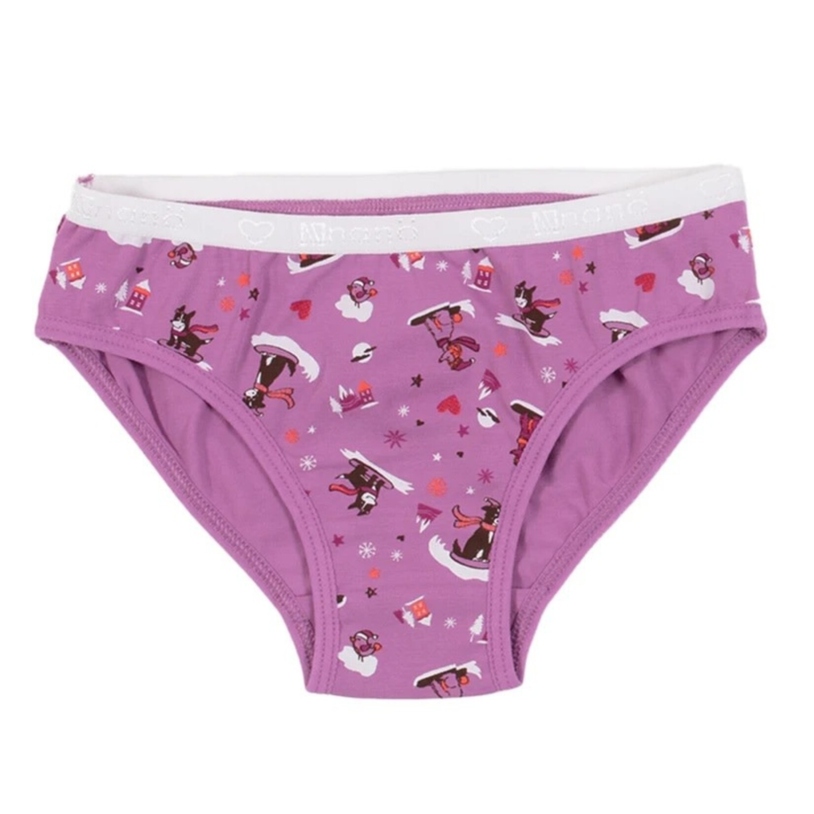 Nanö NANÖ - Pack of 3 Underwear 'Winter Animals purple and gray'