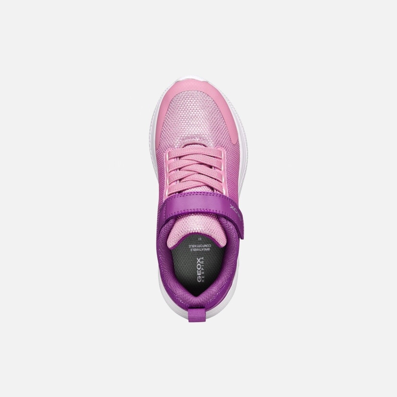 Geox GEOX - Purple Running Shoes 'Sprintye - Purple/Dark Pink'