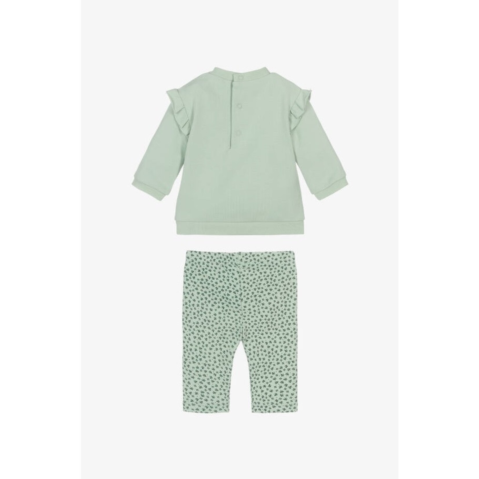 Mayoral MAYORAL -Two piece kit - Light green longsleeve shirt with ducks and legging with flower print