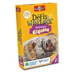 BioViva BIOVIVA- Jeu de cartes 'Défi-Nature - Animaux rigolos'