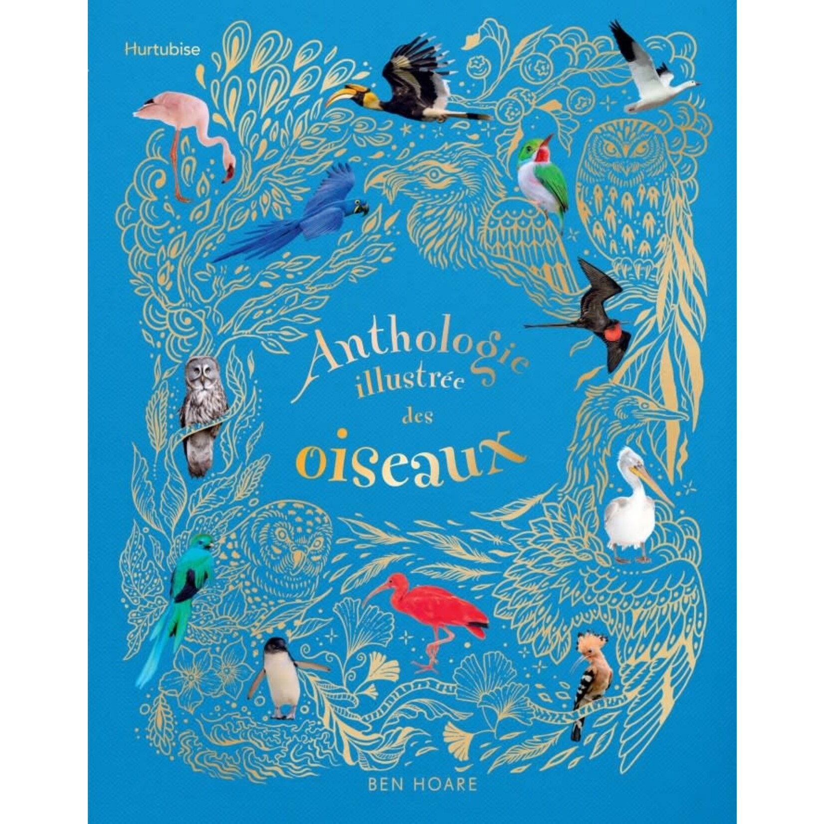 Hurtubise (Éditions) EDITIONS HURTUBISE - Anthologie illustrée des oiseaux