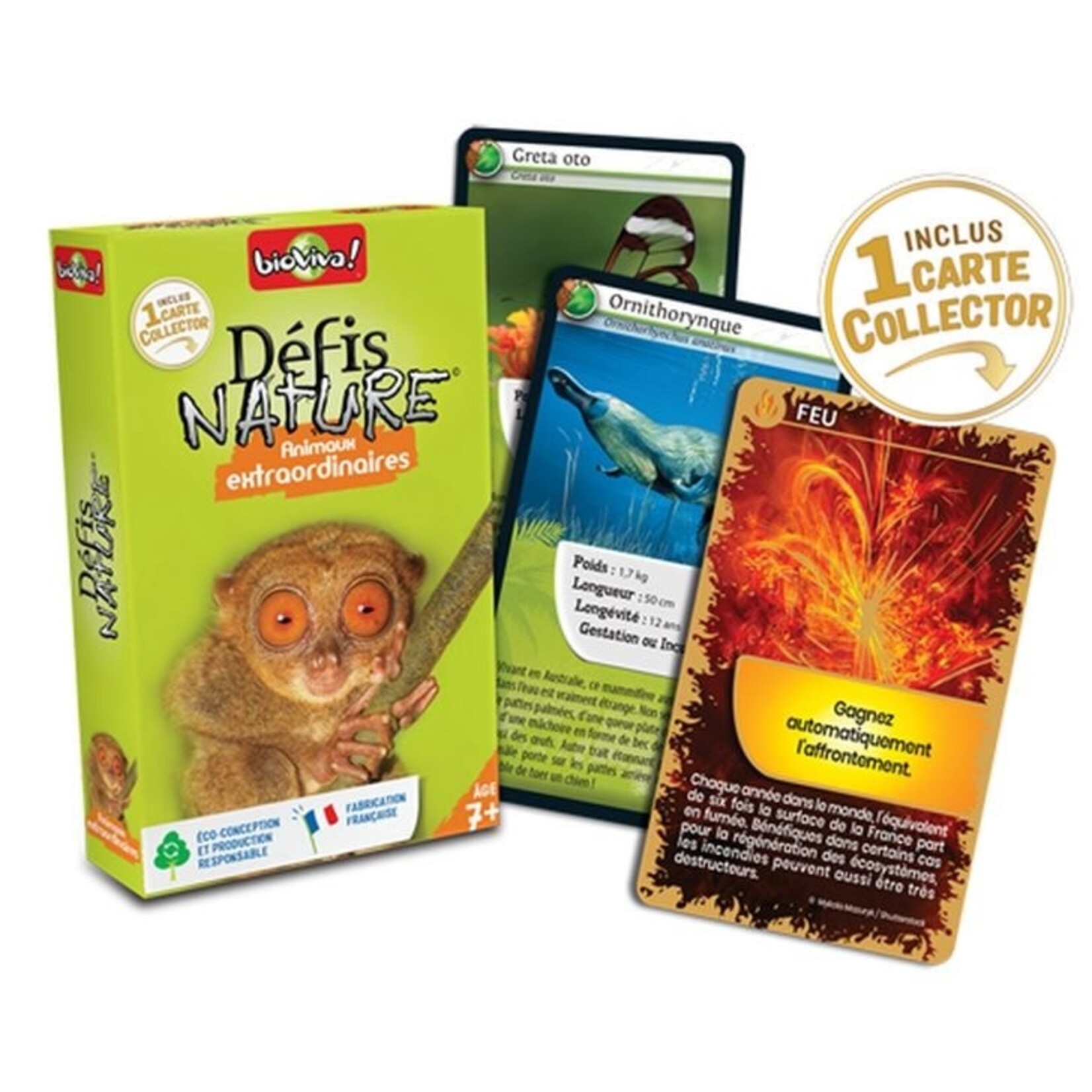 Djeco DJECO - Jeu de cartes 'Défi-Nature - Animaux extraordinaires'