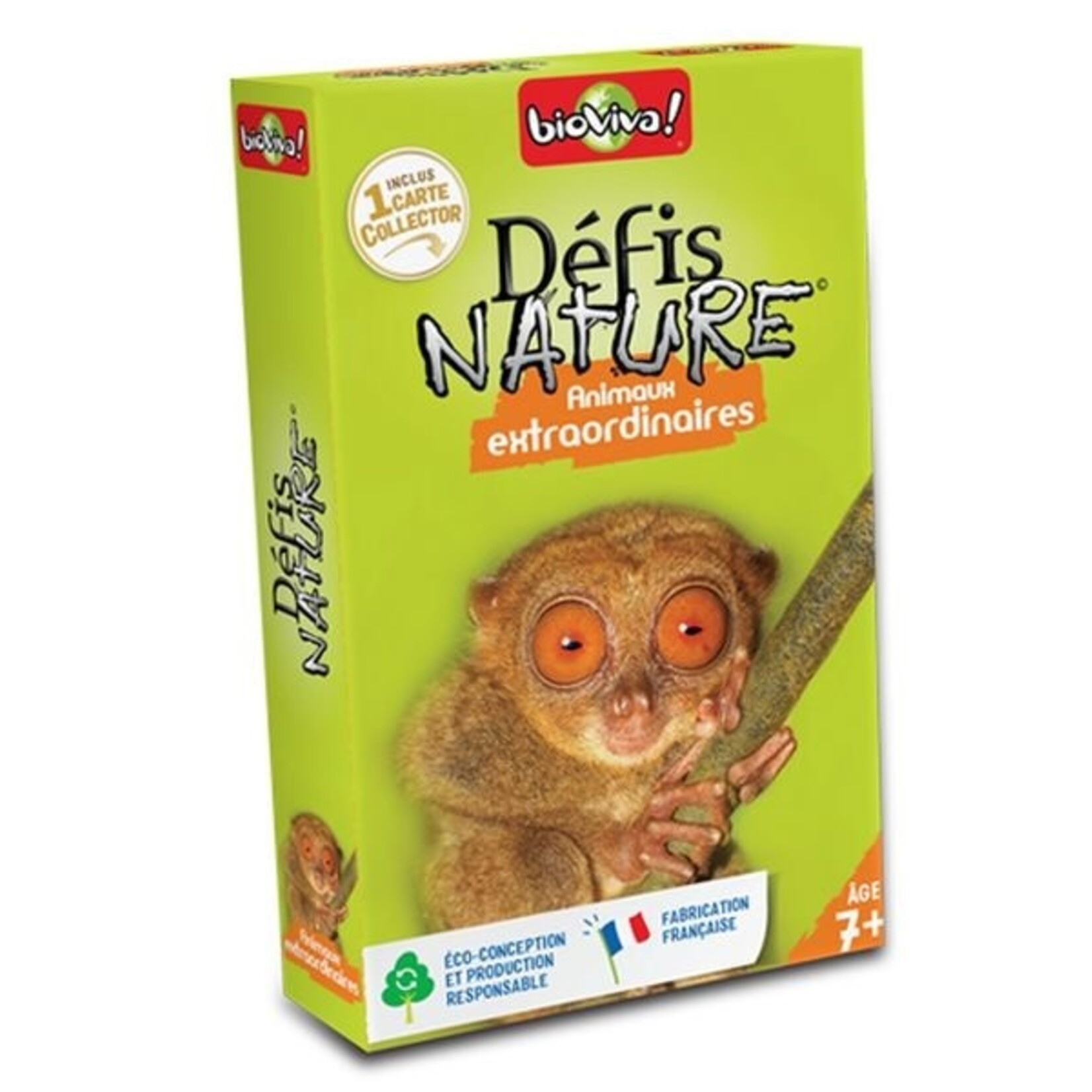 Djeco DJECO - Jeu de cartes 'Défi-Nature - Animaux extraordinaires'